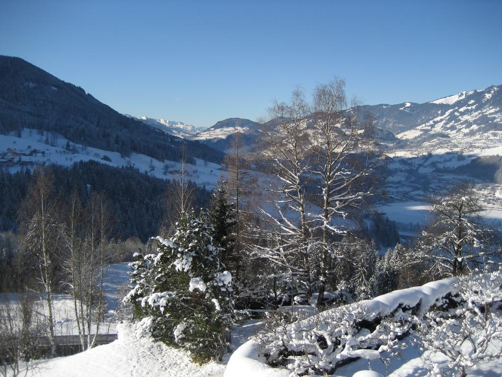 Haus Voithofer Sankt Johann im Pongau